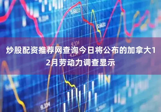 炒股配资推荐网查询今日将公布的加拿大12月劳动力调查显示