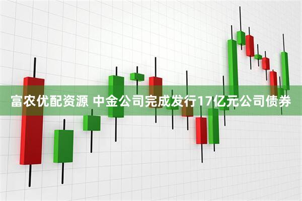 富农优配资源 中金公司完成发行17亿元公司债券