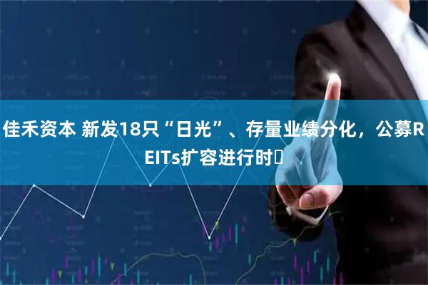 佳禾资本 新发18只“日光”、存量业绩分化，公募REITs扩容进行时​