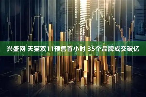 兴盛网 天猫双11预售首小时 35个品牌成交破亿