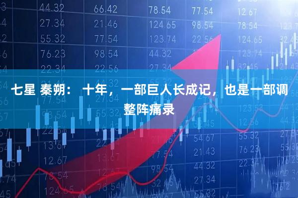 七星 秦朔： 十年，一部巨人长成记，也是一部调整阵痛录
