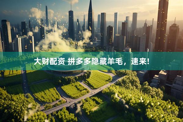 大财配资 拼多多隐藏羊毛，速来!