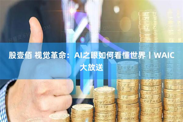股壹佰 视觉革命：AI之眼如何看懂世界丨WAIC大放送