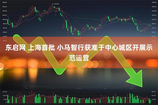 东启网 上海首批 小马智行获准于中心城区开展示范运营