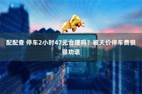 配配查 停车2小时47元合理吗？被天价停车费狠狠劝退