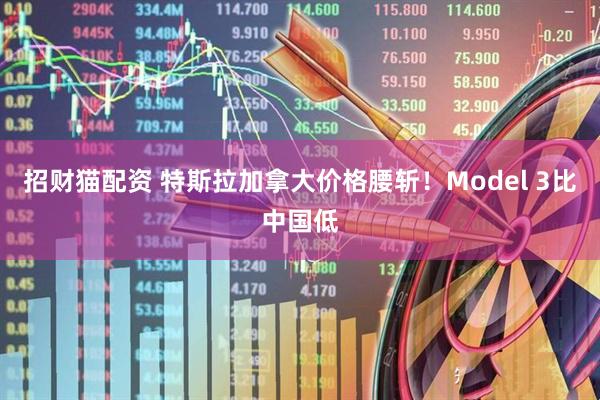 招财猫配资 特斯拉加拿大价格腰斩！Model 3比中国低