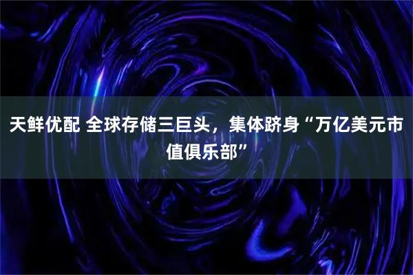 天鲜优配 全球存储三巨头，集体跻身“万亿美元市值俱乐部”
