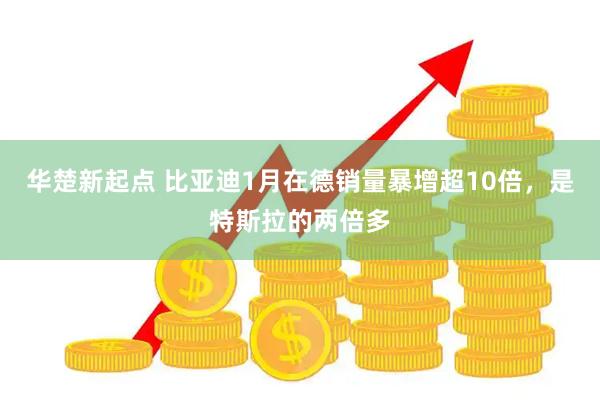 华楚新起点 比亚迪1月在德销量暴增超10倍，是特斯拉的两倍多