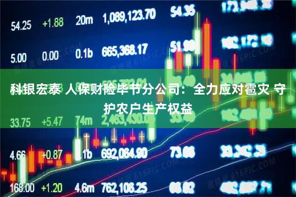 科银宏泰 人保财险毕节分公司：全力应对雹灾 守护农户生产权益