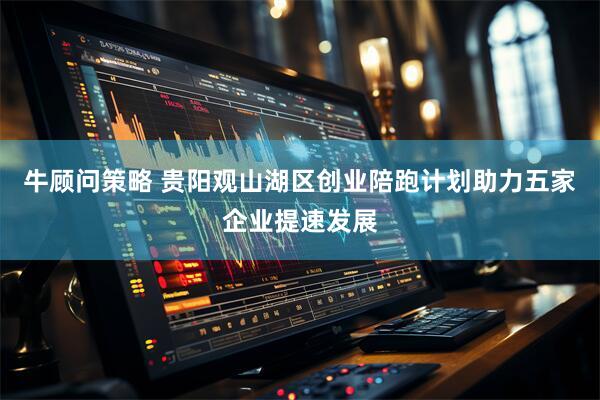 牛顾问策略 贵阳观山湖区创业陪跑计划助力五家企业提速发展