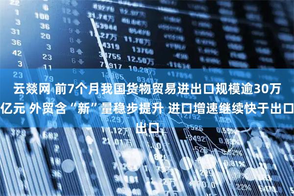 云燚网 前7个月我国货物贸易进出口规模逾30万亿元 外贸含“新”量稳步提升 进口增速继续快于出口